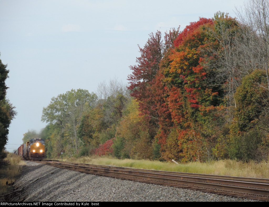 M364 and fall leaves 